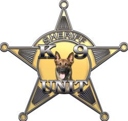 5 Point Sheriff Star K9 Unit Gold