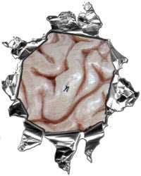 Mini Ripped Torn Metal Decal with Brains Showing