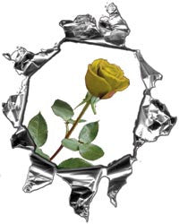 Mini Ripped Torn Metal Decal with Yellow Rose