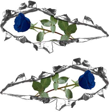 Ripped / Torn Metal Look Decals with Blue Rose