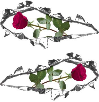 Ripped / Torn Metal Look Decals with Pink Rose