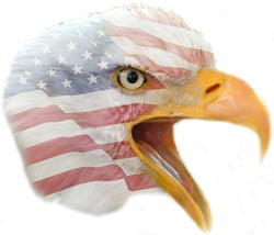 Eagle Flag Decal Facing Right
