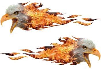 Bald Eagle Flames Inferno Flames