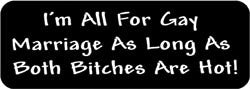 I'm all for Gay Marriage As Long As Both Bitches Are Hot! Biker Helmet Sticker