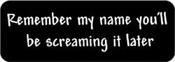 Remember my name you'll be screaming it later Biker Helmet Sticker