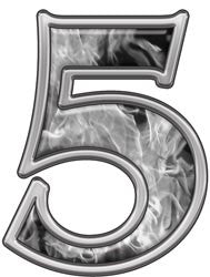 Reflective Number 5 with Inferno Gray Flames