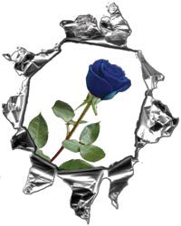 Mini Ripped Torn Metal Decal with Blue Rose