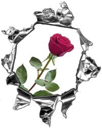 Mini Ripped Torn Metal Decal with Pink Rose