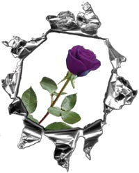 Mini Ripped Torn Metal Decal with Purple Rose