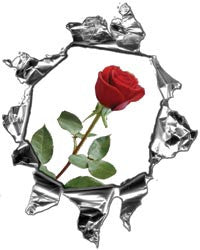 Mini Ripped Torn Metal Decal with Red Rose