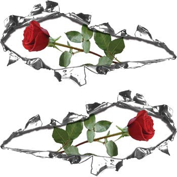 Ripped / Torn Metal Look Decals Rose