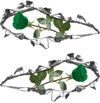 Ripped / Torn Metal Look Decals with Green Rose