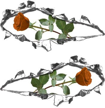 Ripped / Torn Metal Look Decals with Orange Rose