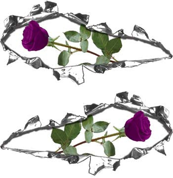 Ripped / Torn Metal Look Decals with Purple Rose
