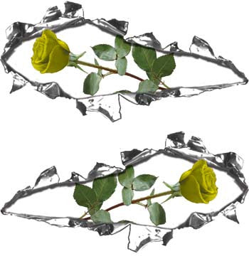 Ripped / Torn Metal Look Decals with Yellow Rose