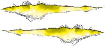Acid Yellow Rip