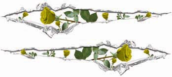 Ripped / Torn Metal Look Decals with Yellow Roses