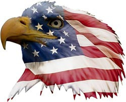 Patriotic Eagle Head Decal Facing Left